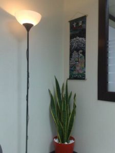 lampu_pejabat lampu_pejabat